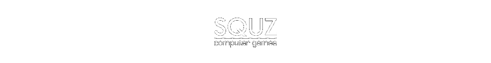 squz computer games